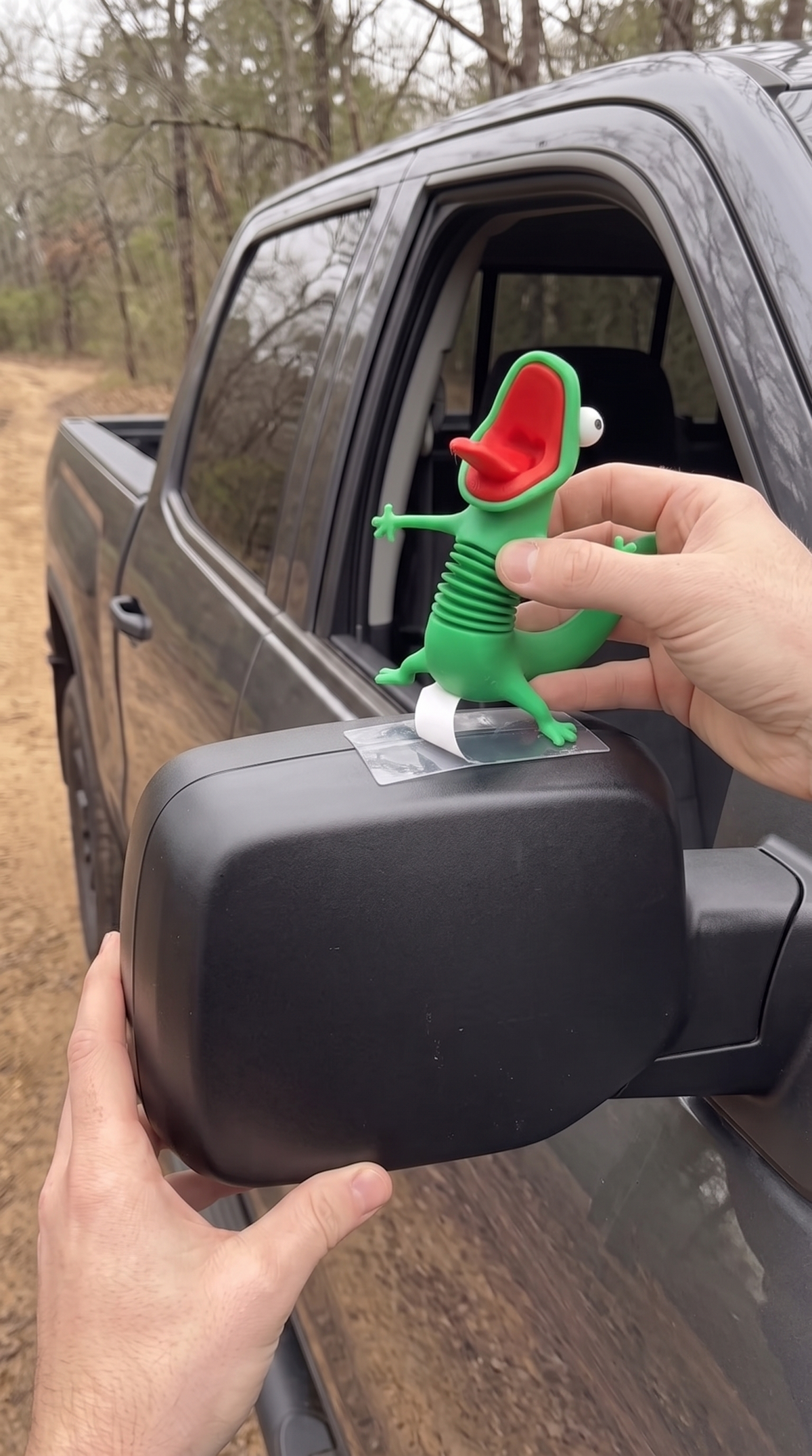 TrailGecko Spring Gecko | Bobbing Dash, Mirror & Handlebar Buddy